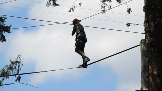 Bedrijfsuitje / Vrijgezellenfeest Klimmen op grote hoogte!